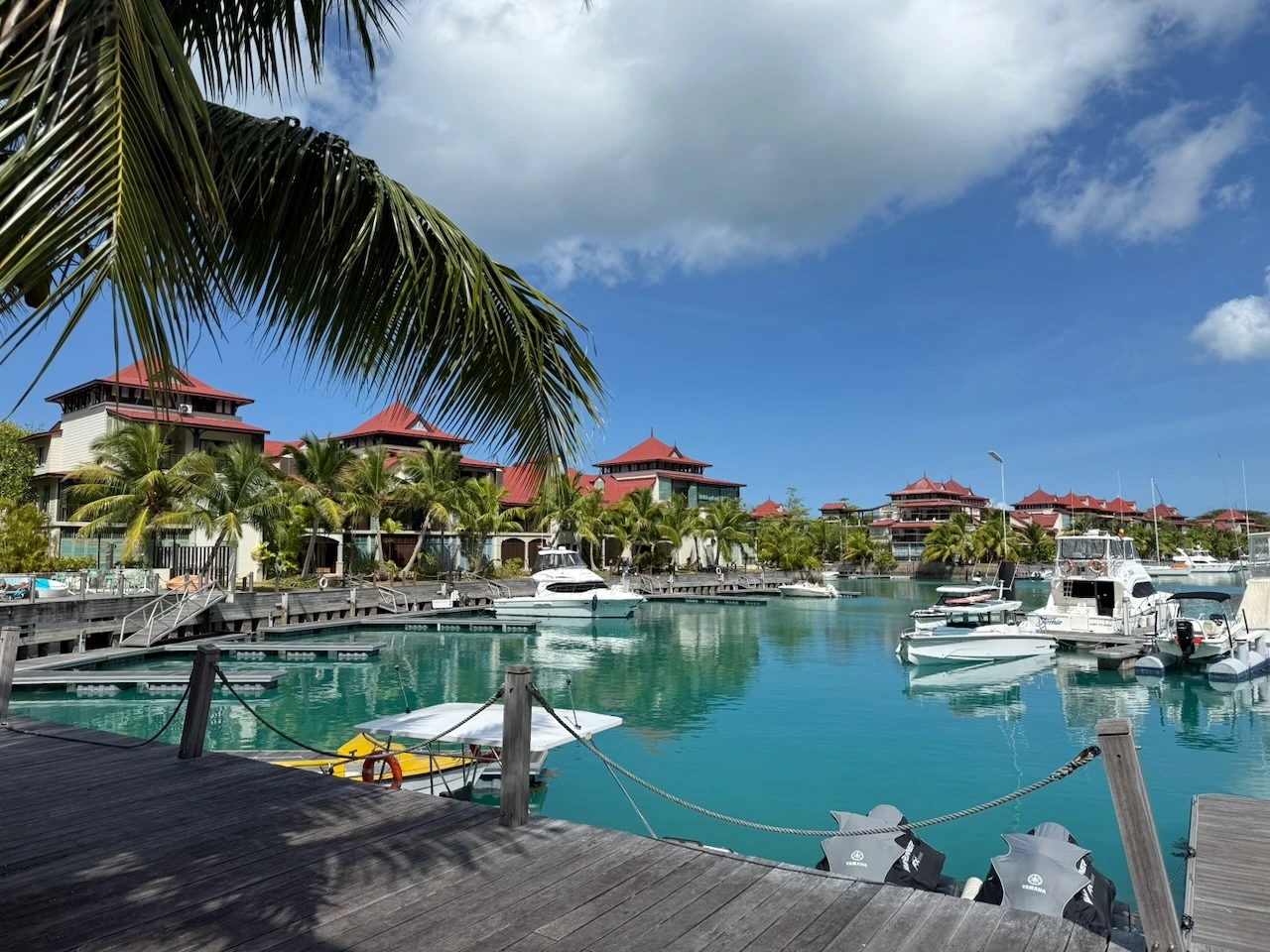 Six Days in Paradise (and Only Six Beers) - Mojo Sailing logbook entry from Mahé, Seychelles